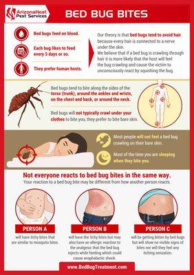 Bed Bug bites visual explanation.