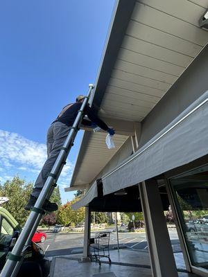 Drywood Termite Treatment in Shopping Center