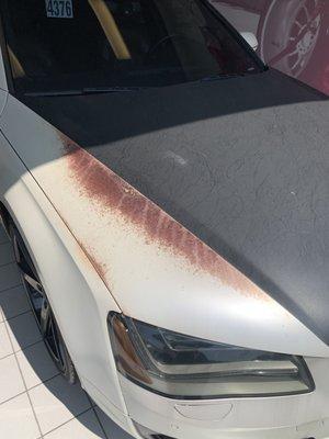 Damage to the hood