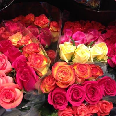 Roses in color packs