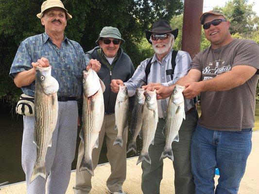 Delta striper fishing