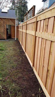 New fence