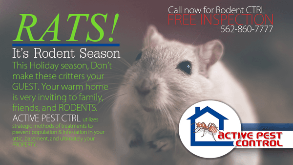 Re rid rodents.  Full home or business rodent proofing, strategic trapping, attic cleanup, insulation, removal and replacement.