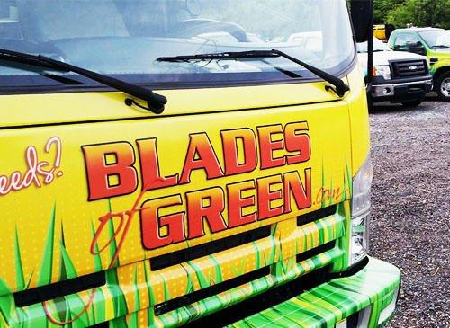 Blades of Green