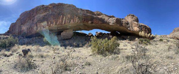 The arch which is one of the longest in AZ reaching 137'