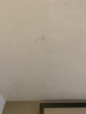 Blood spatter on the ceiling above the bed.