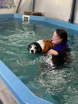 Canine Bodywork & Aquatics