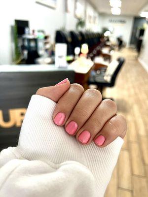 Gel polish nails