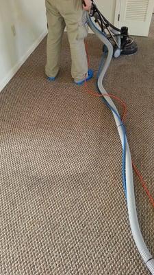 EKO Carpet & Rug Cleaning - carpet cleaning1