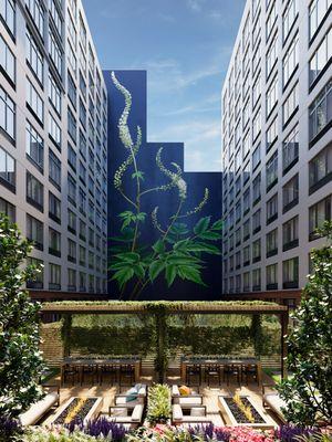 Courtyard and custom mural by Mona Caron