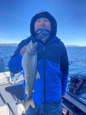 Lake trout