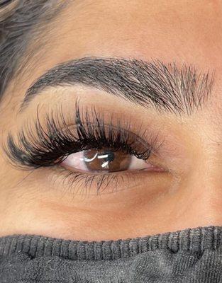 Allure Lash Bar