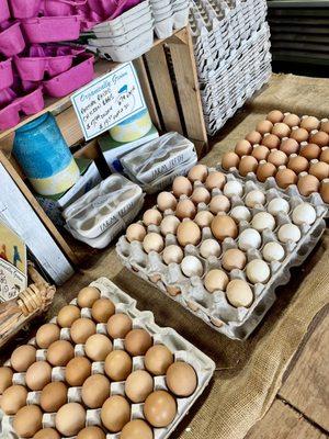 Pasture Raised Chicken Eggs!