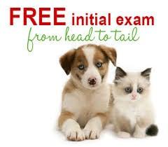 Give us a try! Your pet's initial exam is FREE!