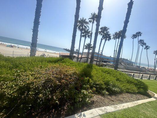 Pacific Surfliner took us from Anaheim to San Clemente - 41 minute ride