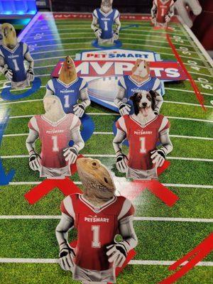 The puppy bowl