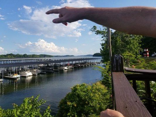 A nice view from the patio