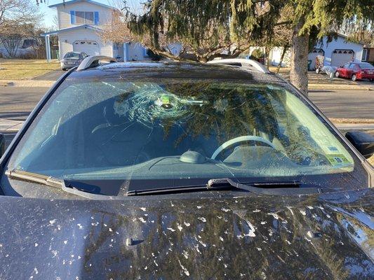 Damaged windshield