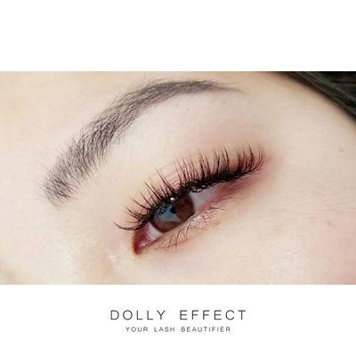 Embrace your beauty with our signature Mixed set, best eyelash extensions for all occasions!
 
 Dolly Mixed Set