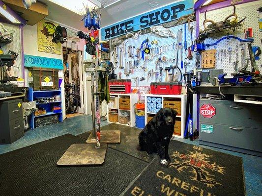 Bear waiting to greet next service customer