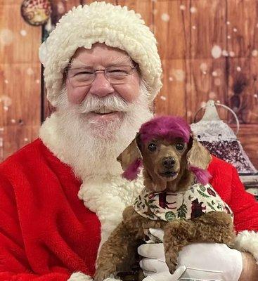 Dee w/ Santa, at Dog Star Rescue in Bloomfield, CT.