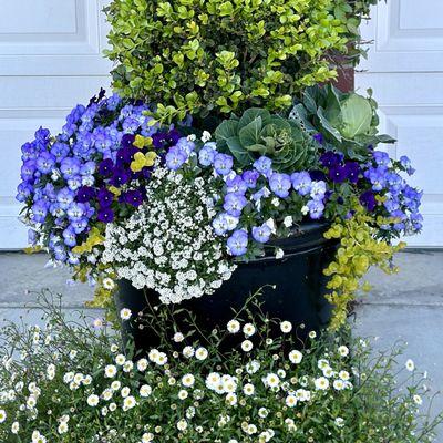 Residential container garden