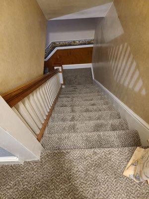 Newly carpeted stairs