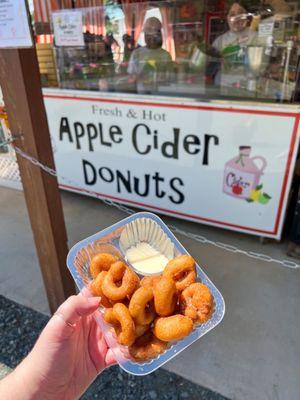 Apple cider donuts