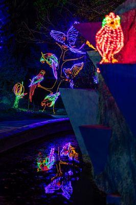 River of Lights at ABQ BioPark & Botanic Garden