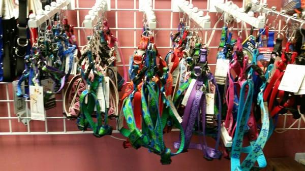 Large array of harnesses and collars...