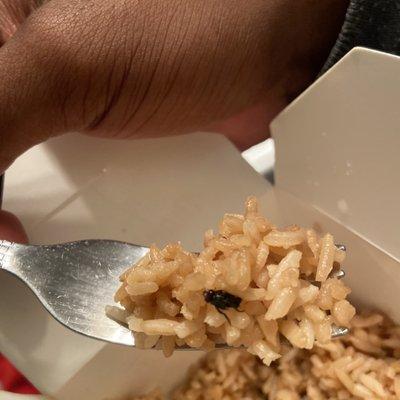 Fly in my fried rice