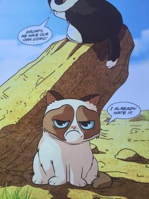 Grumpy Cat...