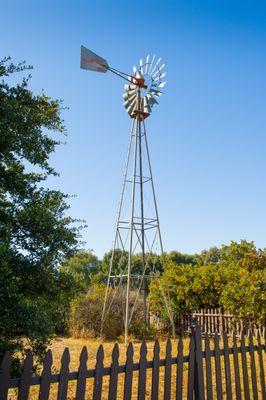 Our iconic windmill on location