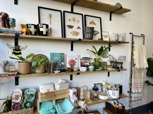 Home decor, plants, books and eco-friendly products