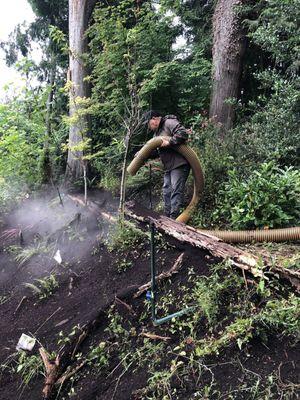 Pedro working hard and smart blowing in our bark dust