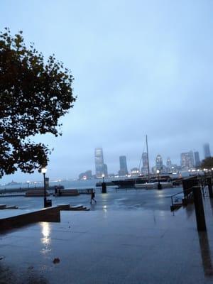 View of LIC from the marina