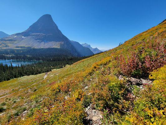 Glacier National Park (my stop before Mama Blancas)