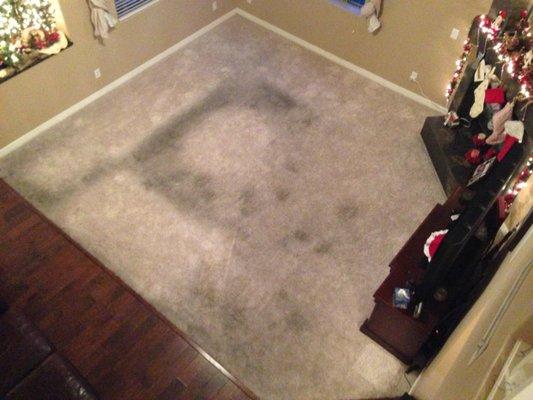 Before Carpet Cleaning, Carpet Stain Removal