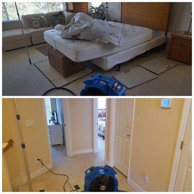 bed bug heat treatment