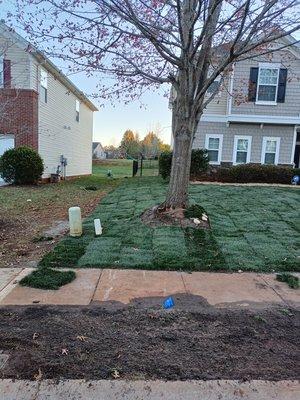 Sod install