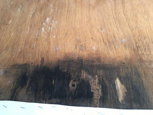 Water damage, rotten wood