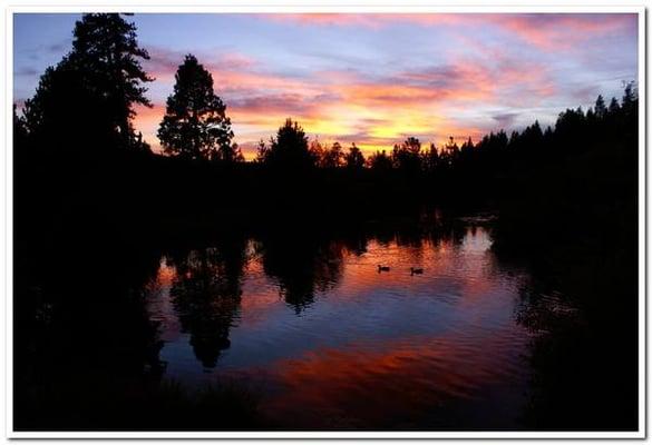 Evening on the duck pond