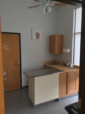 Cat exam room