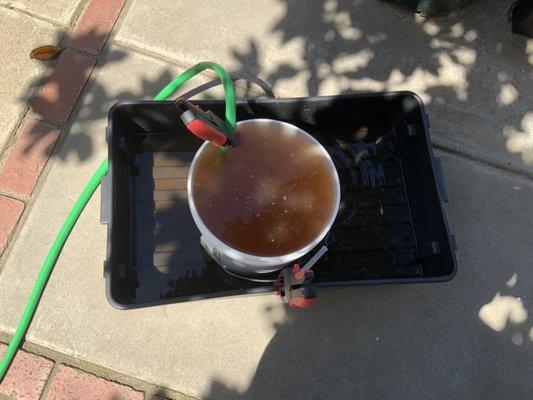 Hose from water heater draining into a clean white bucket. 8 five gallon buckets before the water ran slightly clear.