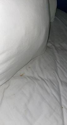 Dirty sheets.  Just one small section