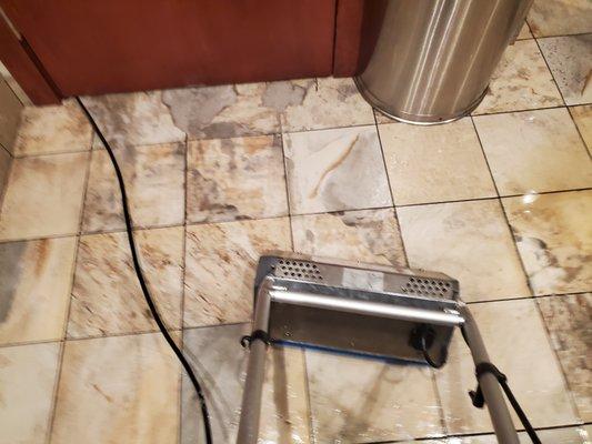 Tile and Grout Cleaning