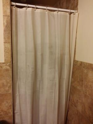 Disgusting shower curtain