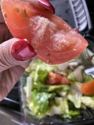 Close up of mold on the tomato from the salad.