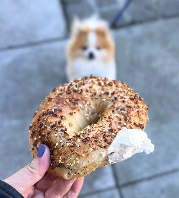 Everything Bagel (bakers dozen-$30) w/ a smear of plain cream cheese (tub-$6). A rip & dip situation.