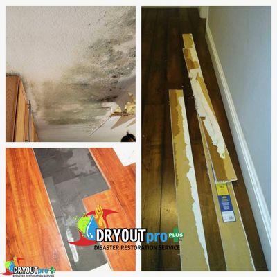 Water underneath flooring & Mold